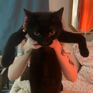 Meet your Posher, Matthew